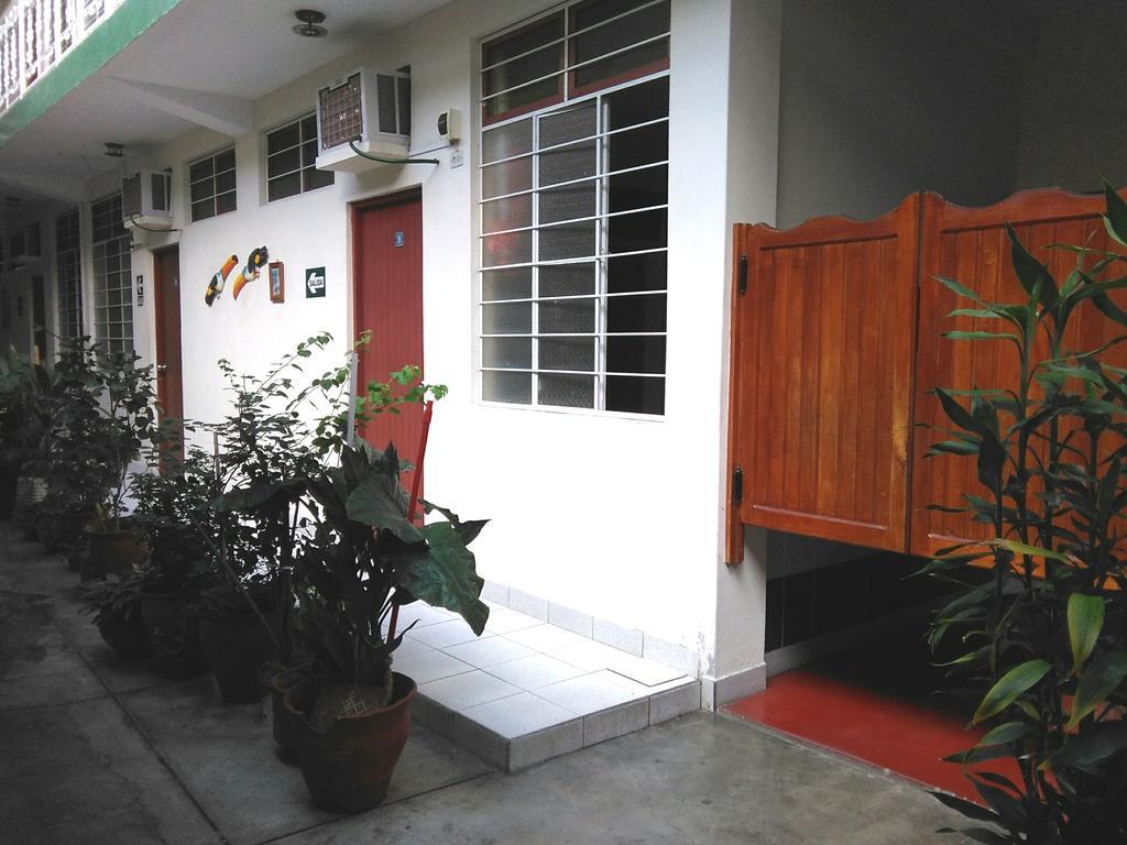 Hostal El Colibri 伊基托斯 外观 照片