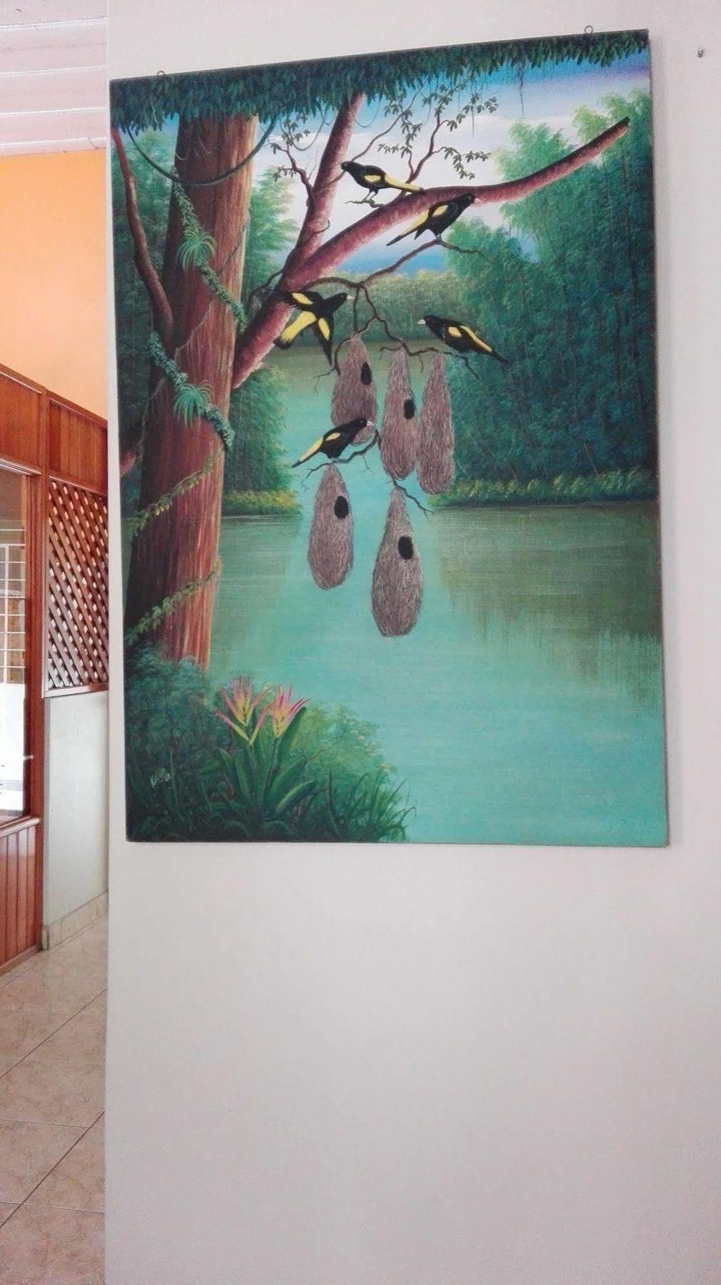 Hostal El Colibri 伊基托斯 外观 照片