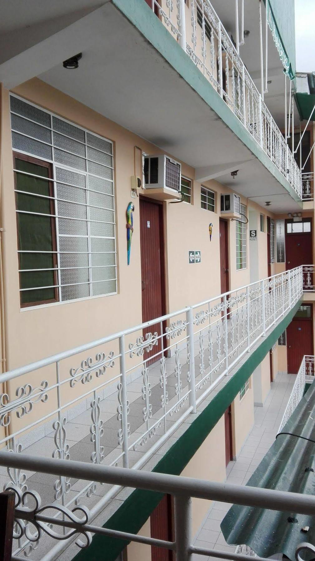 Hostal El Colibri 伊基托斯 外观 照片